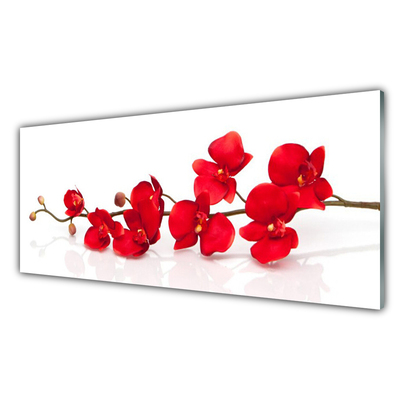 Glasbild aus Plexiglas® Blumen Pflanzen