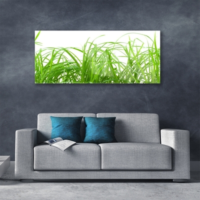 Glasbild aus Plexiglas® Gras Natur