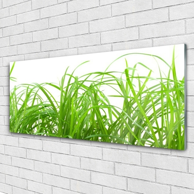 Glasbild aus Plexiglas® Gras Natur