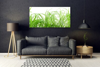 Glasbild aus Plexiglas® Gras Natur