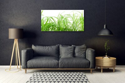 Glasbild aus Plexiglas® Gras Natur