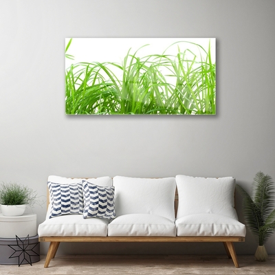 Glasbild aus Plexiglas® Gras Natur