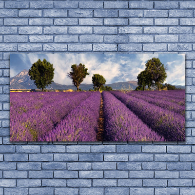 Glasbild aus Plexiglas® Wiese Bäume Natur