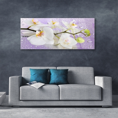 Glasbild aus Plexiglas® Blumen Pflanzen