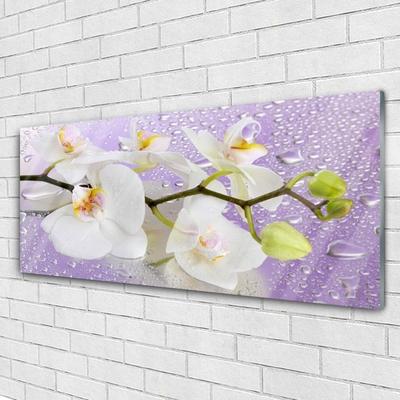 Glasbild aus Plexiglas® Blumen Pflanzen