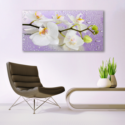 Glasbild aus Plexiglas® Blumen Pflanzen