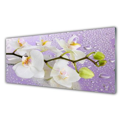 Glasbild aus Plexiglas® Blumen Pflanzen