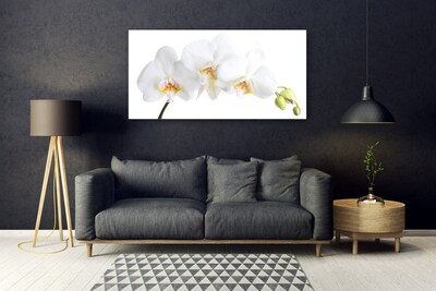 Glasbild aus Plexiglas® Blumen Pflanzen