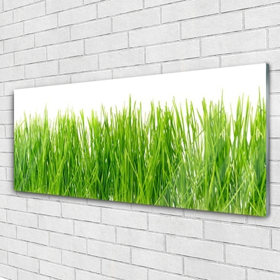 Glasbild aus Plexiglas® Gras Natur