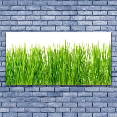 Glasbild aus Plexiglas® Gras Natur