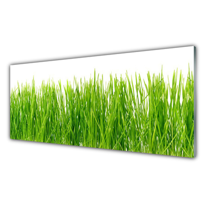 Glasbild aus Plexiglas® Gras Natur