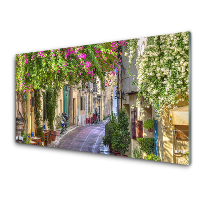 Glasbild aus Plexiglas® Gasse Häuser Pflanzen