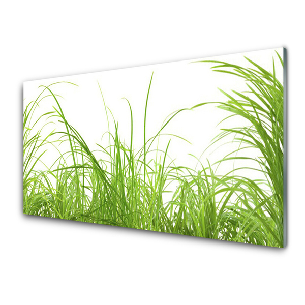 Glasbild aus Plexiglas® Gras Natur