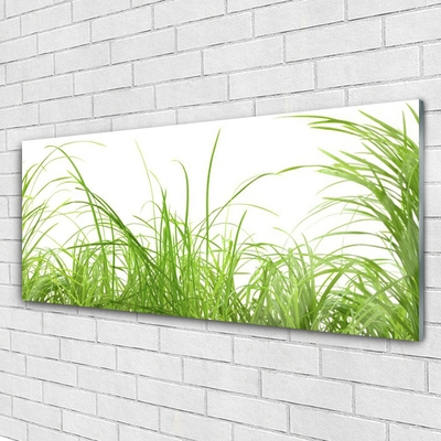 Glasbild aus Plexiglas® Gras Natur