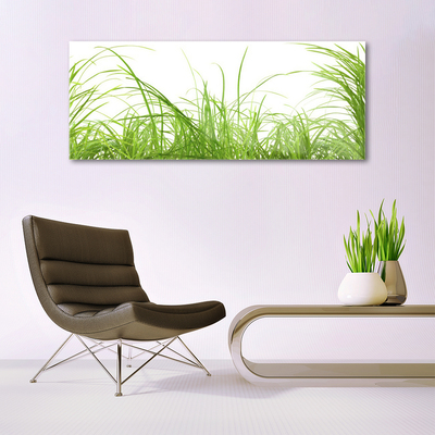 Glasbild aus Plexiglas® Gras Natur