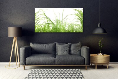 Glasbild aus Plexiglas® Gras Natur