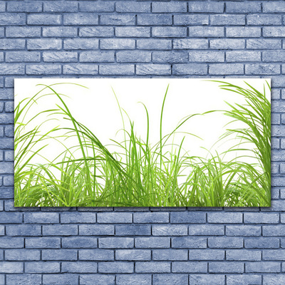 Glasbild aus Plexiglas® Gras Natur