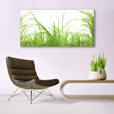 Glasbild aus Plexiglas® Gras Natur