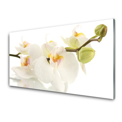 Glasbild aus Plexiglas® Blumen Pflanzen