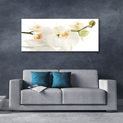 Glasbild aus Plexiglas® Blumen Pflanzen