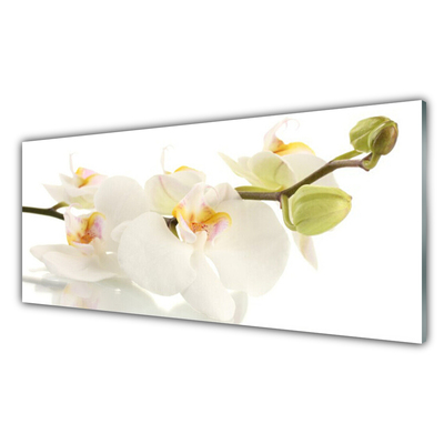 Glasbild aus Plexiglas® Blumen Pflanzen