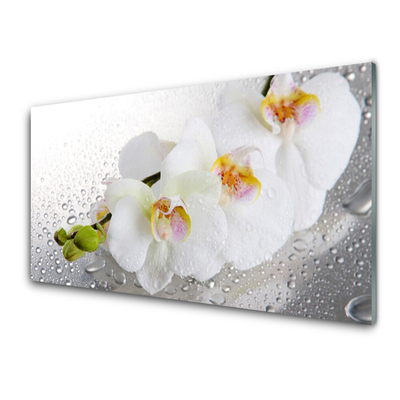 Glasbild aus Plexiglas® Blumen Pflanzen