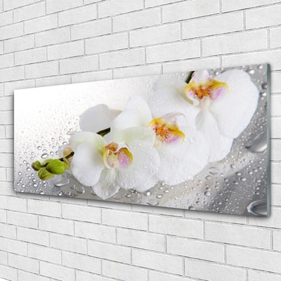 Glasbild aus Plexiglas® Blumen Pflanzen