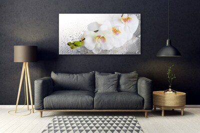 Glasbild aus Plexiglas® Blumen Pflanzen