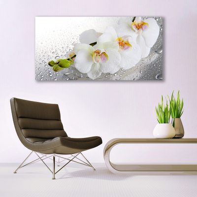 Glasbild aus Plexiglas® Blumen Pflanzen