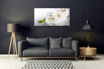 Glasbild aus Plexiglas® Blumen Pflanzen