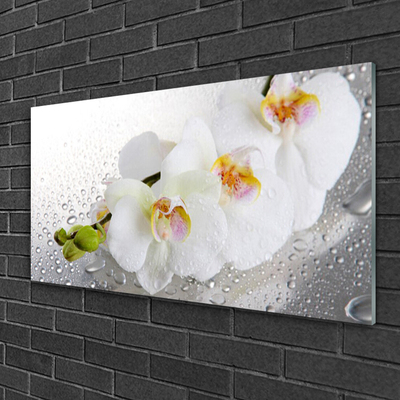 Glasbild aus Plexiglas® Blumen Pflanzen