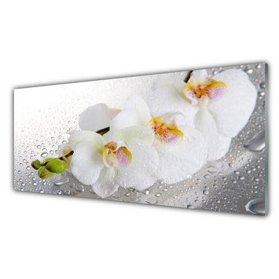 Glasbild aus Plexiglas® Blumen Pflanzen