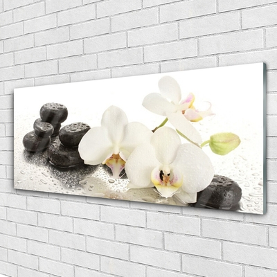 Glasbild aus Plexiglas® Blumen Steine Pflanzen