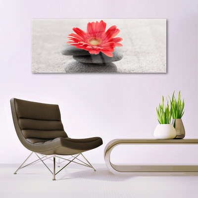 Glasbild aus Plexiglas® Blumen Steine Kunst