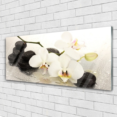 Glasbild aus Plexiglas® Blumen Steine Kunst