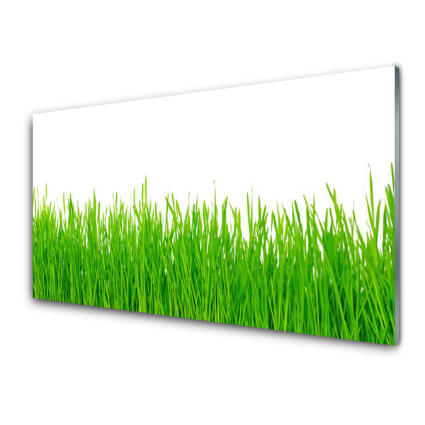 Glasbild aus Plexiglas® Gras Natur