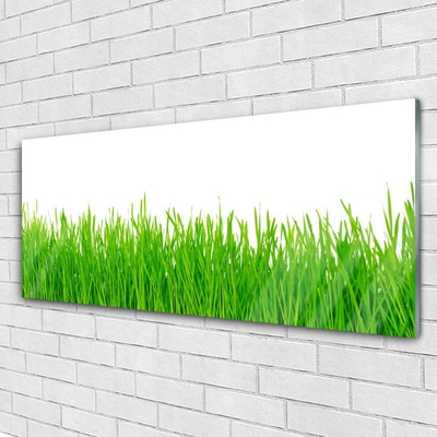 Glasbild aus Plexiglas® Gras Natur