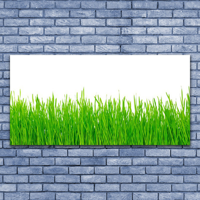 Glasbild aus Plexiglas® Gras Natur