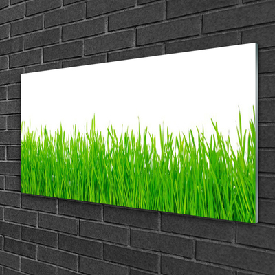 Glasbild aus Plexiglas® Gras Natur