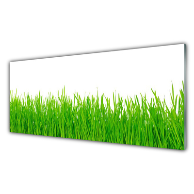 Glasbild aus Plexiglas® Gras Natur