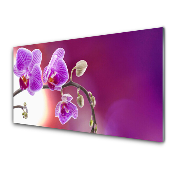 Glasbild aus Plexiglas® Blumen Pflanzen