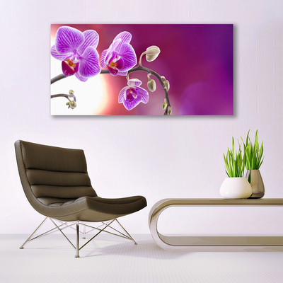 Glasbild aus Plexiglas® Blumen Pflanzen