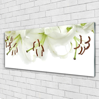 Glasbild aus Plexiglas® Blumen Pflanzen