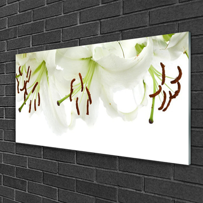 Glasbild aus Plexiglas® Blumen Pflanzen