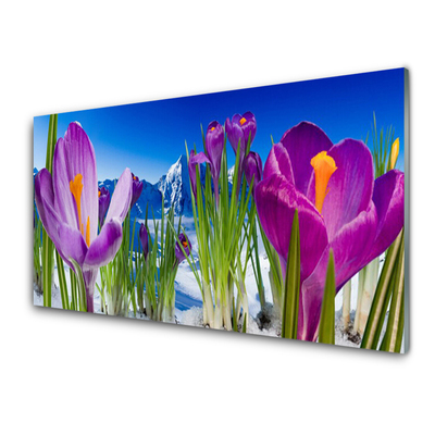 Glasbild aus Plexiglas® Blumen Pflanzen