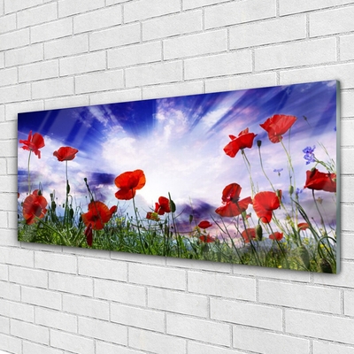 Glasbild aus Plexiglas® Mohnblumen Natur