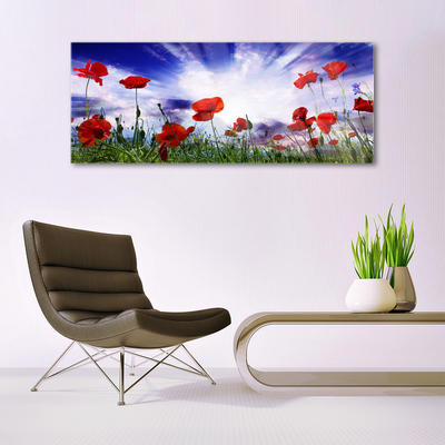 Glasbild aus Plexiglas® Mohnblumen Natur