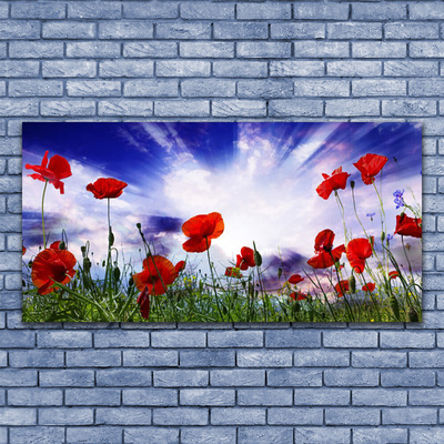 Glasbild aus Plexiglas® Mohnblumen Natur