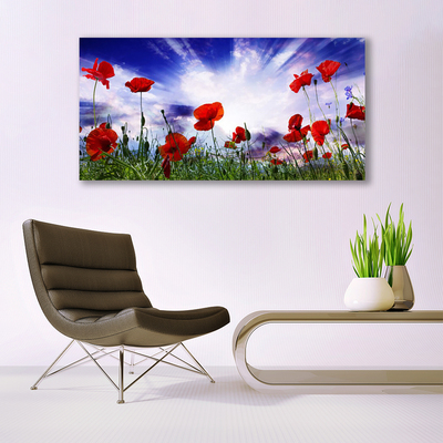 Glasbild aus Plexiglas® Mohnblumen Natur