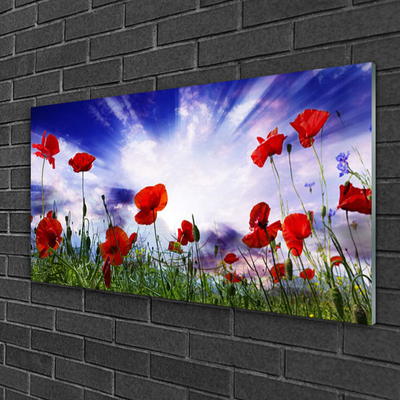 Glasbild aus Plexiglas® Mohnblumen Natur